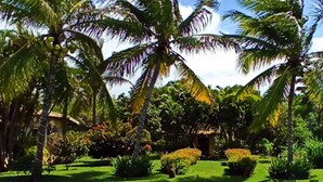 A tropical resort with palm trees, well-maintained lawns, and traditional architecture. - Grimms Pousada de Contos (Entre Rios)