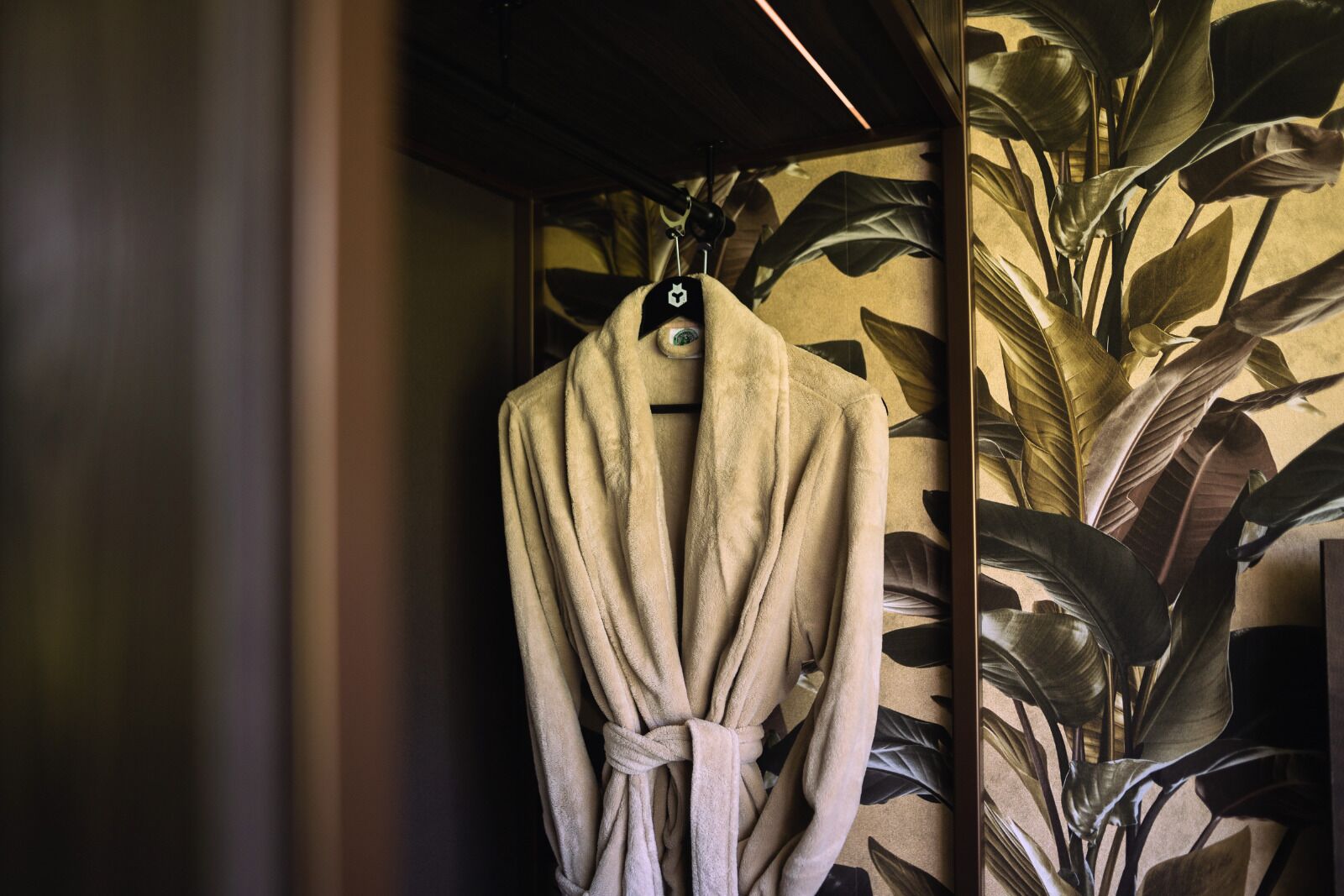 A robe hanging on a hook in a room with a large plant and a patterned wall.