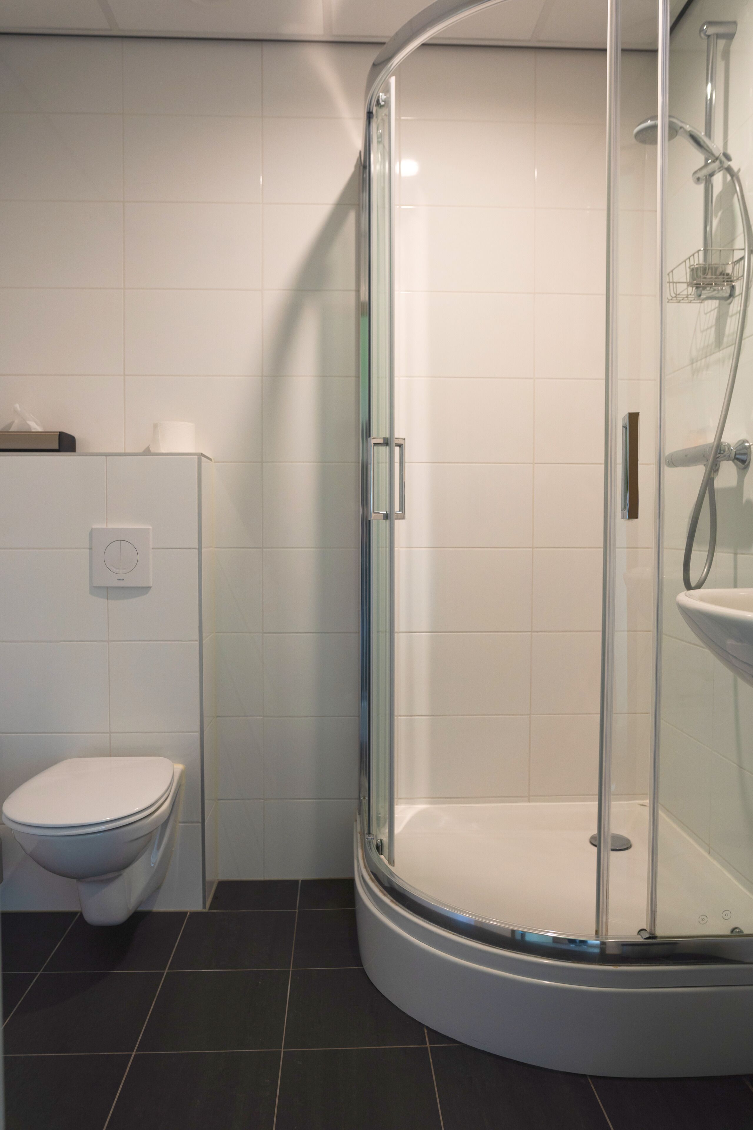 A bathroom with a glass-enclosed shower, a toilet, and a white sink.