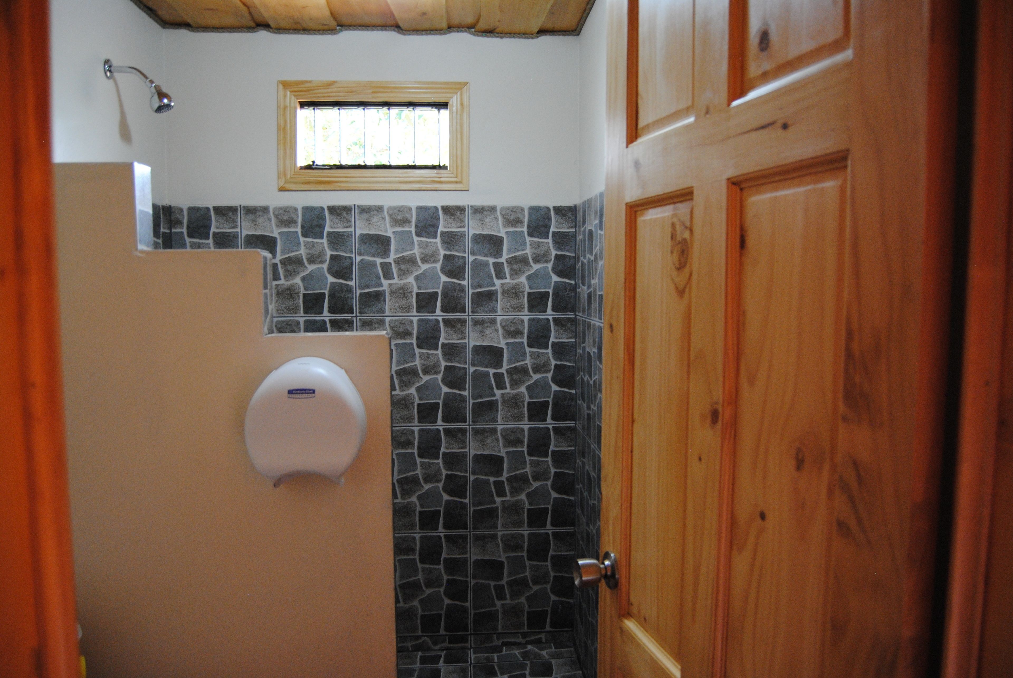 combined shower/bathtub, hair dryer, towels