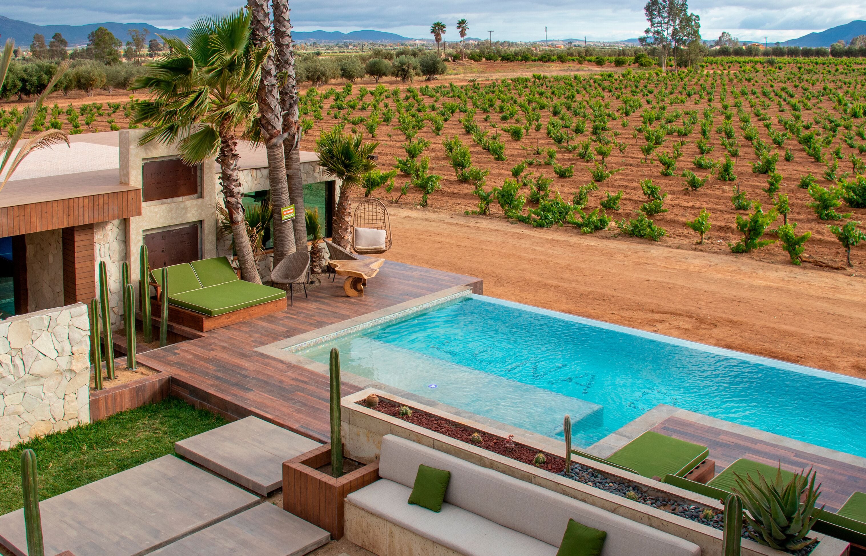 Zona de piscina con vistas a un viñedo.