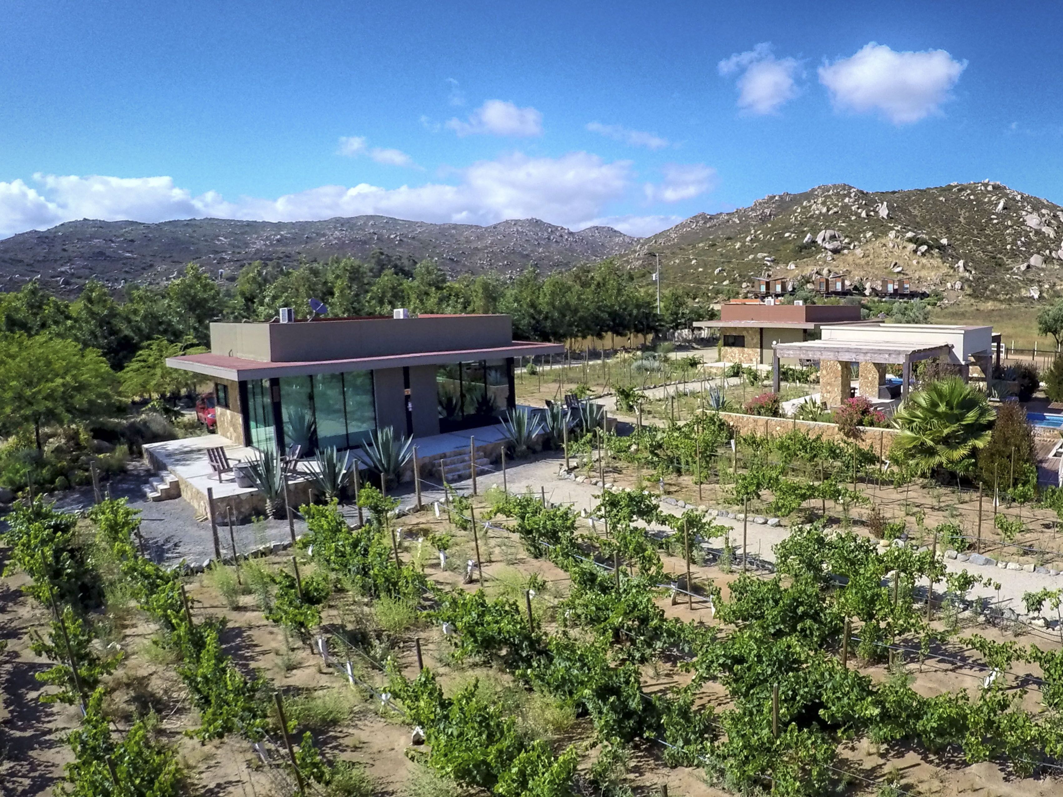 A modern building with a glass facade, surrounded by a landscaped garden with various plants and a pool area.