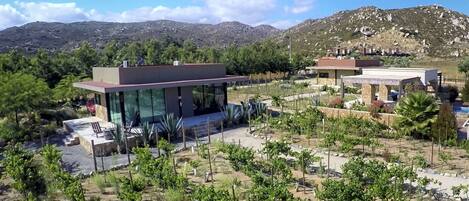 A modern building with a glass facade, surrounded by a landscaped garden with various plants and a pool area.
