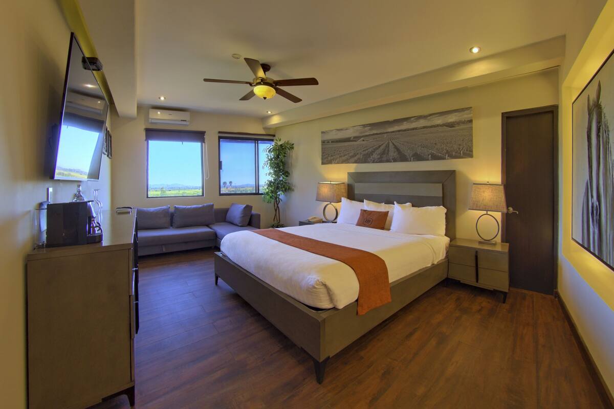 A modern hotel room with a large bed, a ceiling fan, a sofa, and a view of the outdoors.