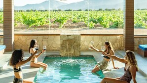 Un área de piscina con vistas a un viñedo.