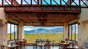 Un comedor interior con mesas y sillas, grandes ventanales que ofrecen vistas a un viñedo y montañas.