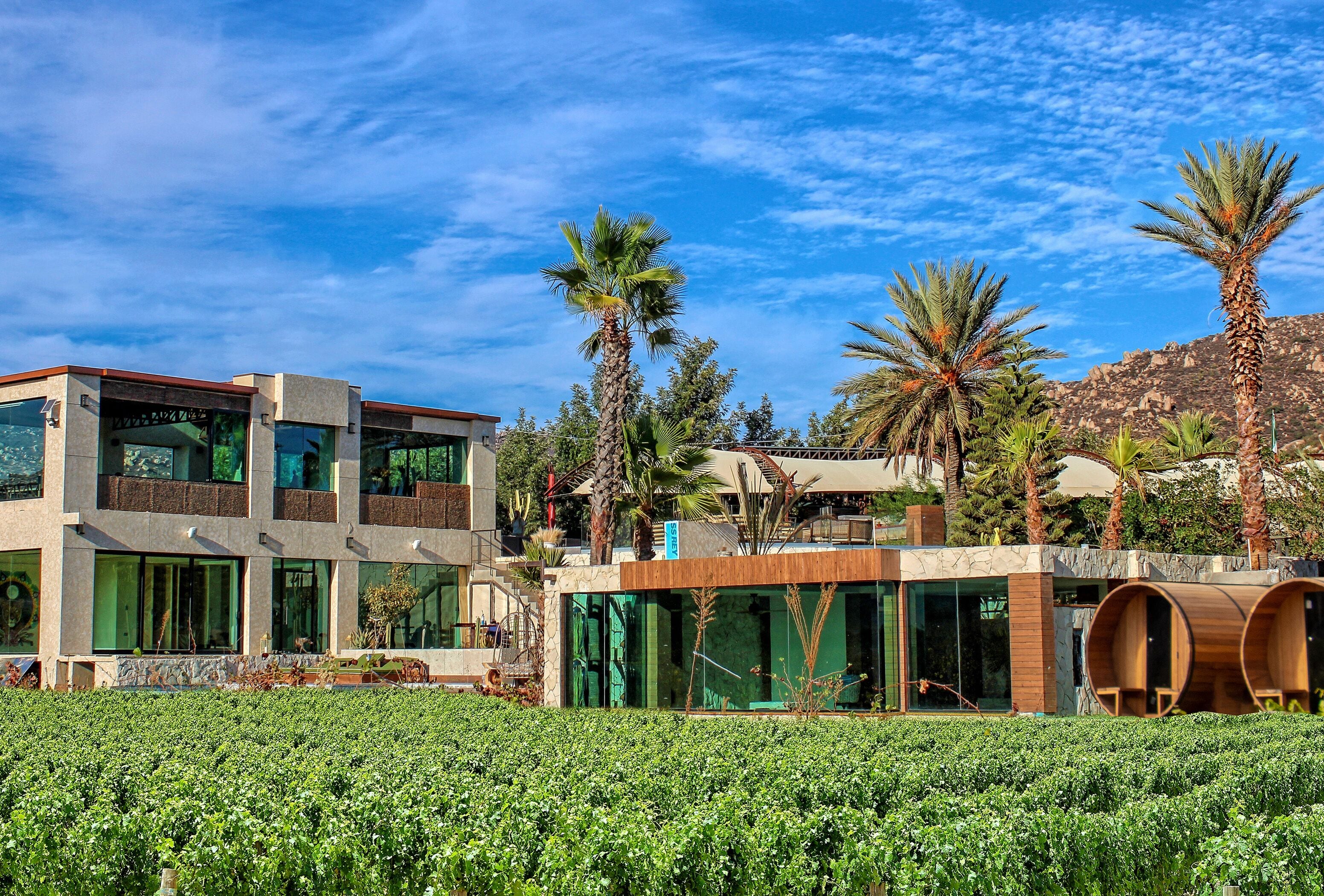 A modern building with large windows, palm trees, and a clear sky.