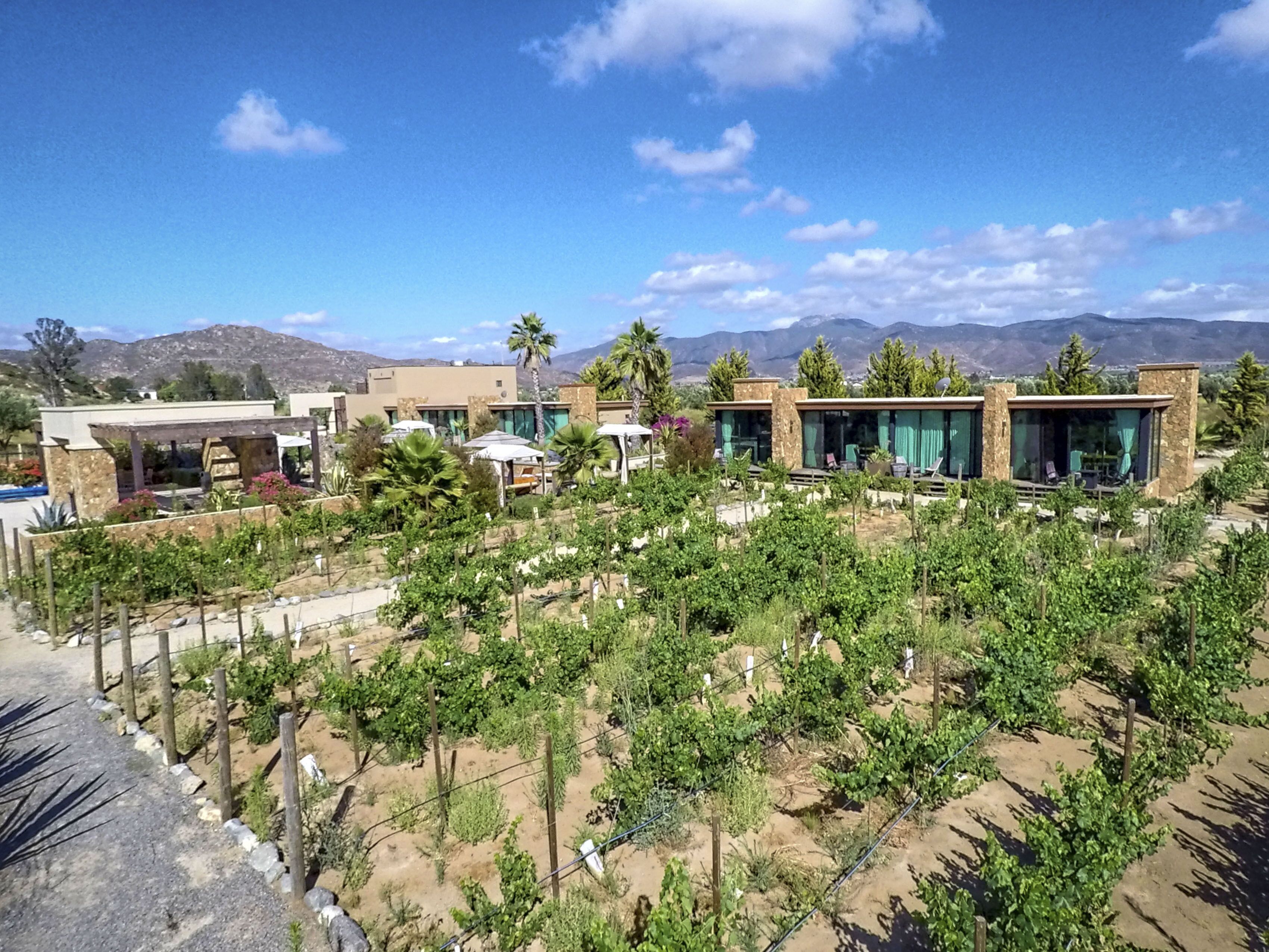 Una vila moderna amb un viñedo, parets de pedra i un paisatge de muntanya de fons.