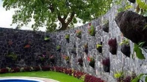 Una piscina rodeada por un muro de piedra con plantas.