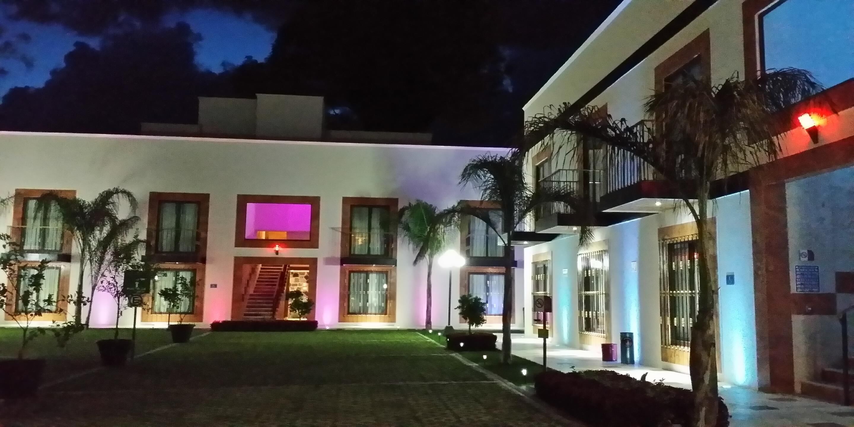 A modern building with a well-lit entrance, a staircase leading to the main entrance, and a small garden area with potted plants.