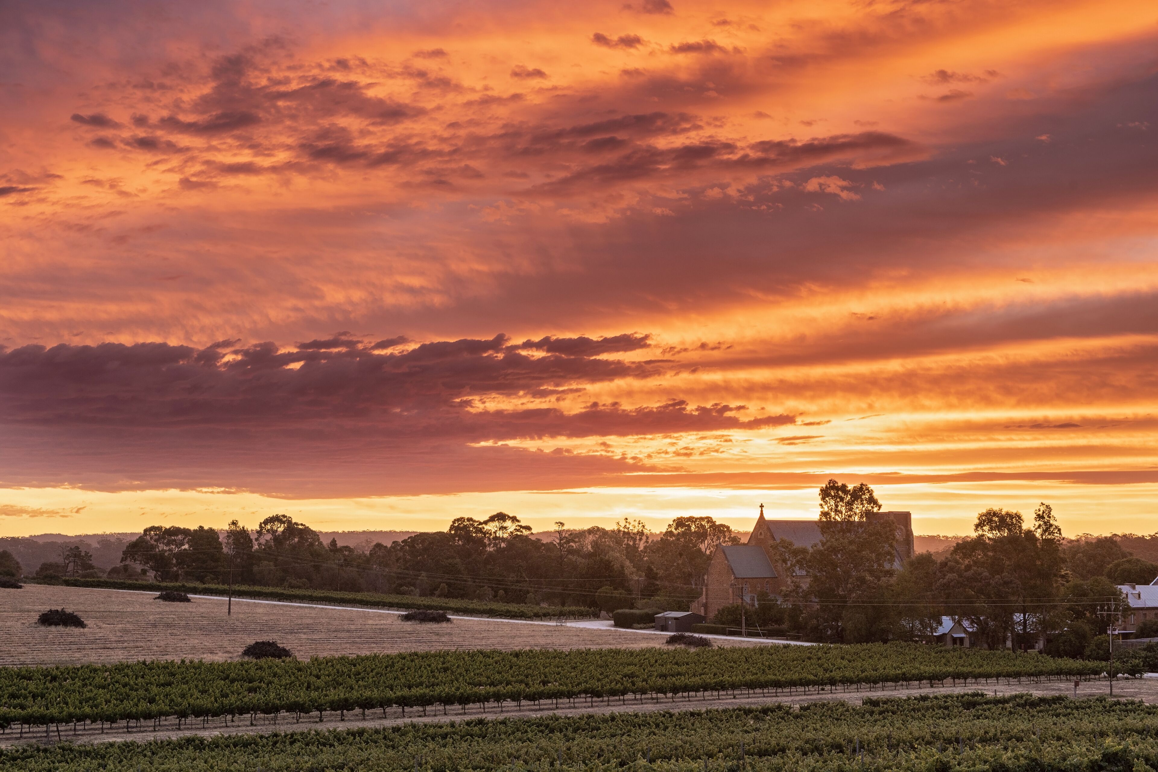 Discovery Parks - Clare — image 24