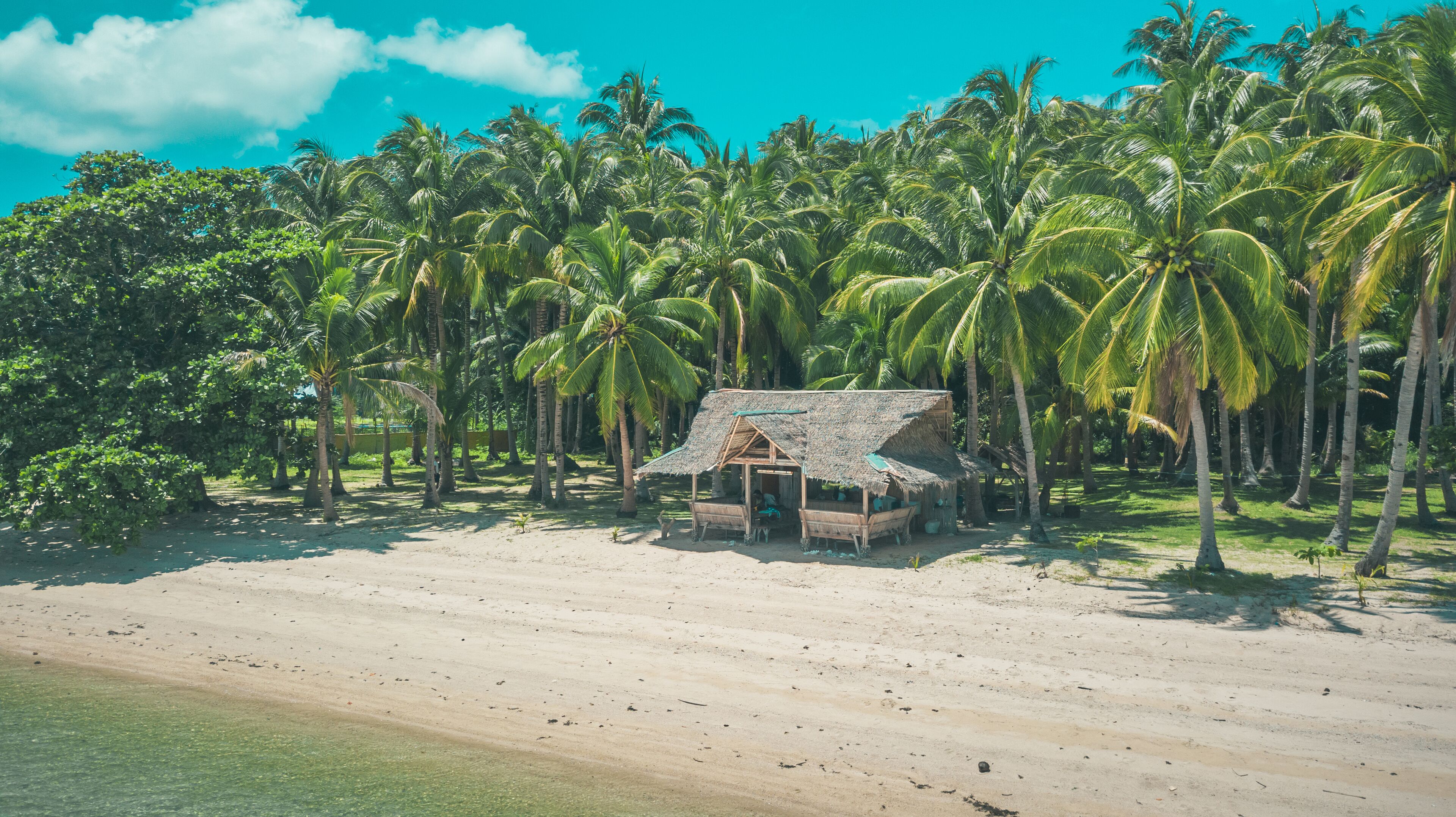A beach with a thatched-roof hut surrounded by palm trees.