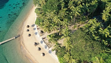 Relax in a secluded beach setting surrounded by palm trees and a long pier extending into the ocean.