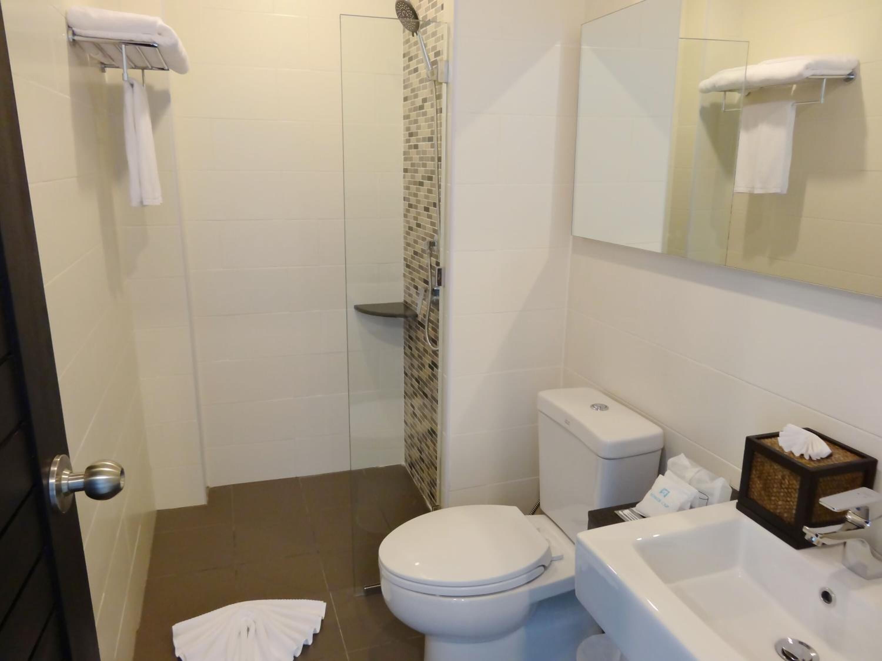 twin room, pool view | bathroom | shower, free toiletries, hair dryer, bidet