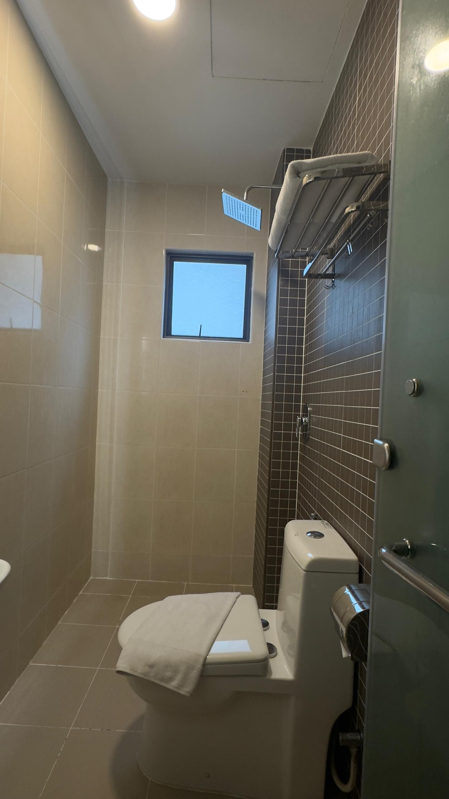 Shower, hair dryer, bidet, towels