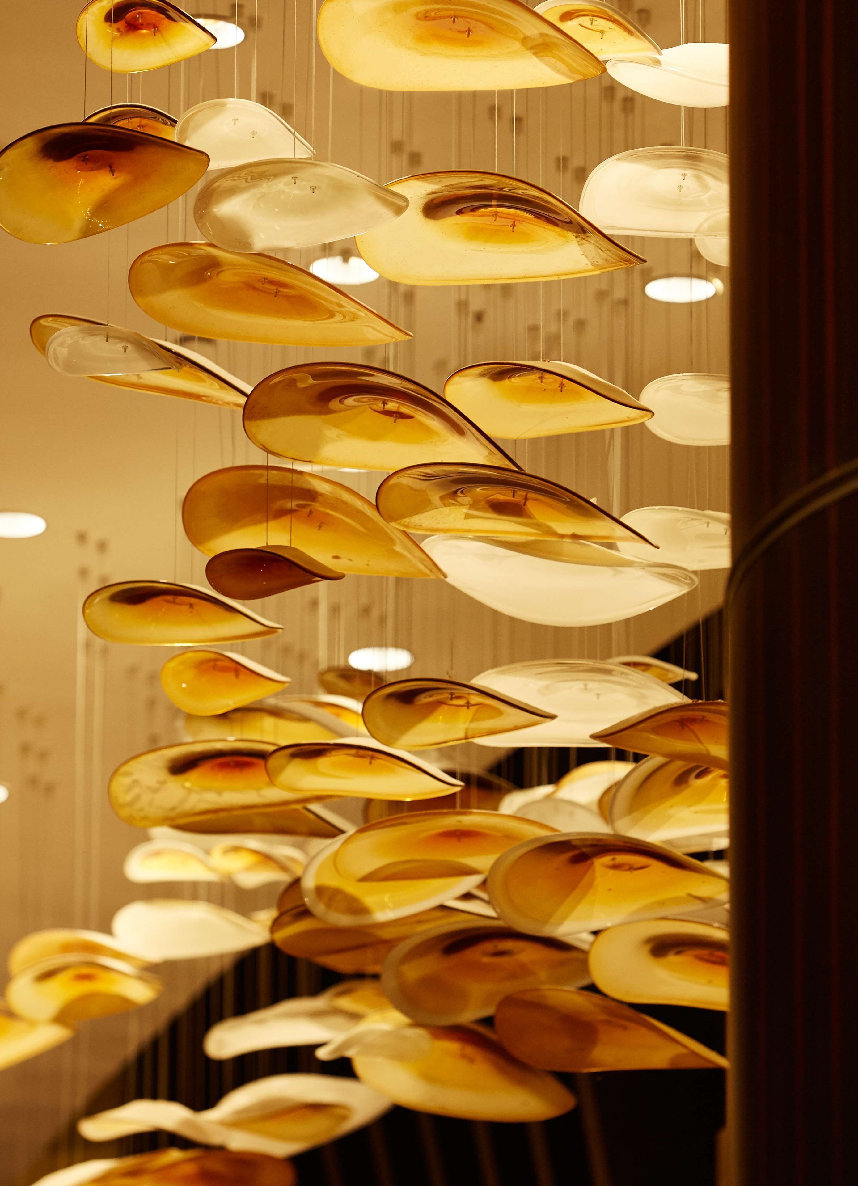 Photo - Hyatt Regency Manila City of Dreams