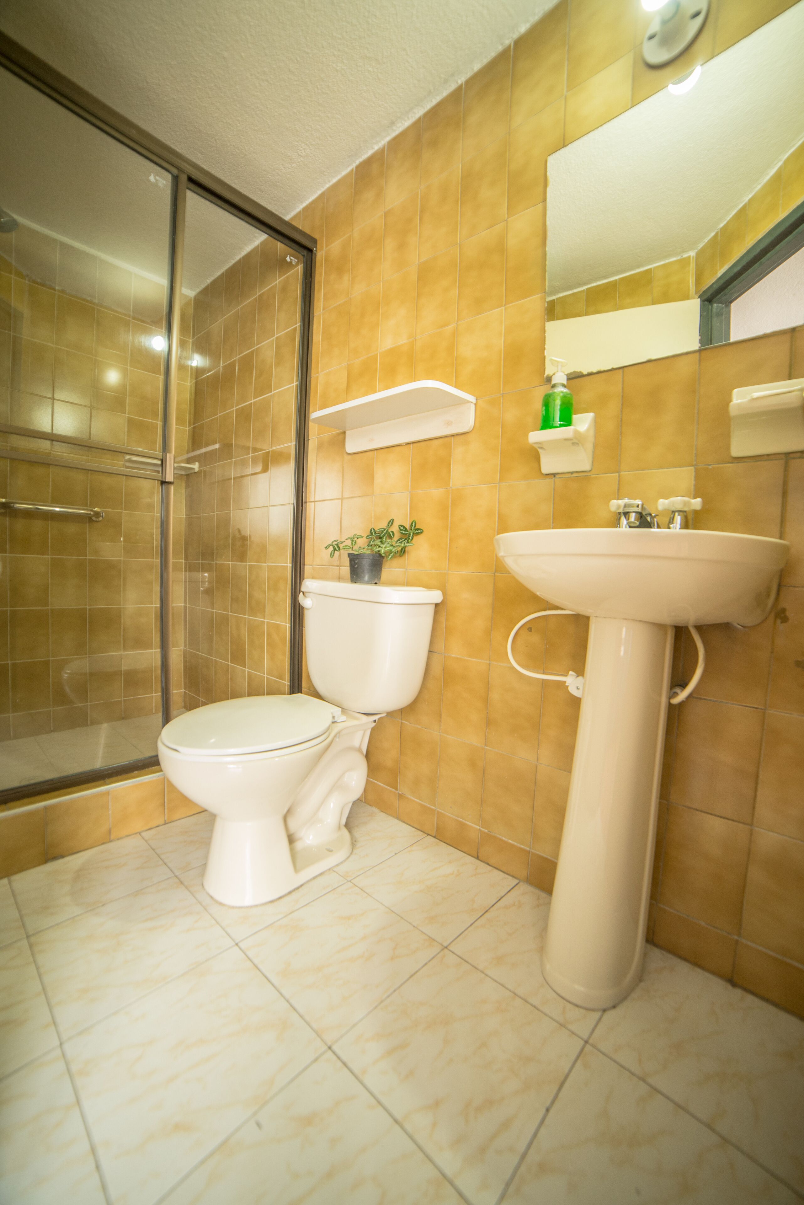 Foto - Apartamentos Galerías