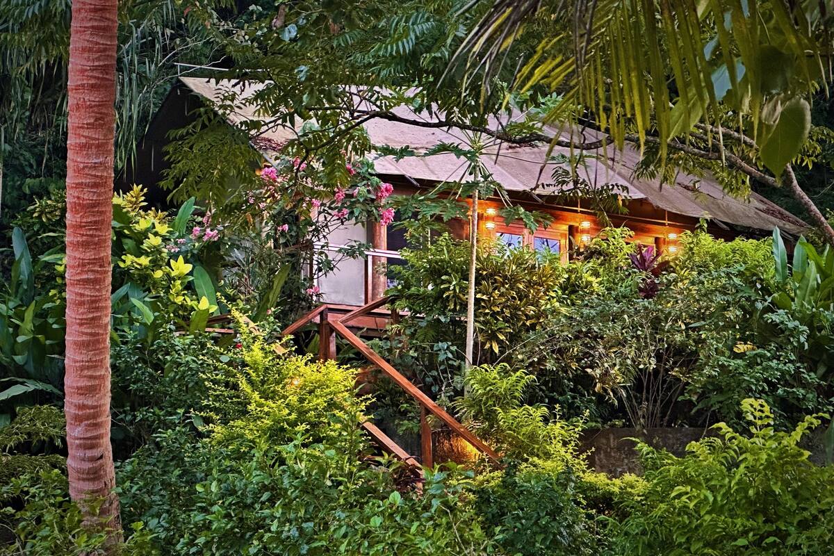 luxury african safari tent | 1 bedroom, premium bedding, pillow-top beds, minibar