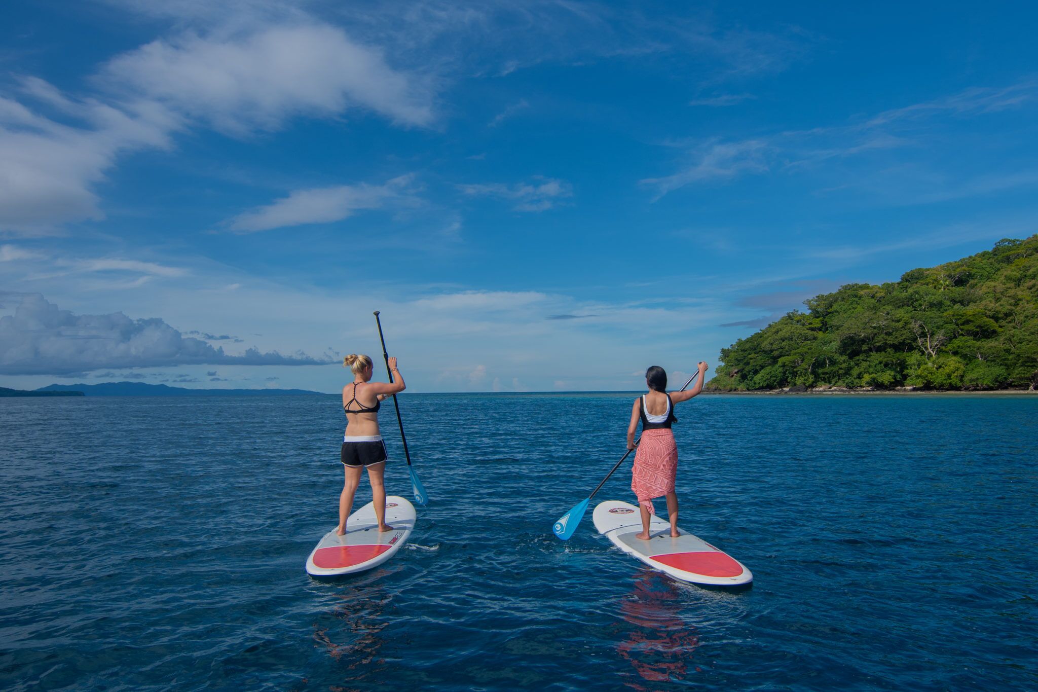 Two people paddleboarding on a calm sea with a clear sky and a forested island in the background.