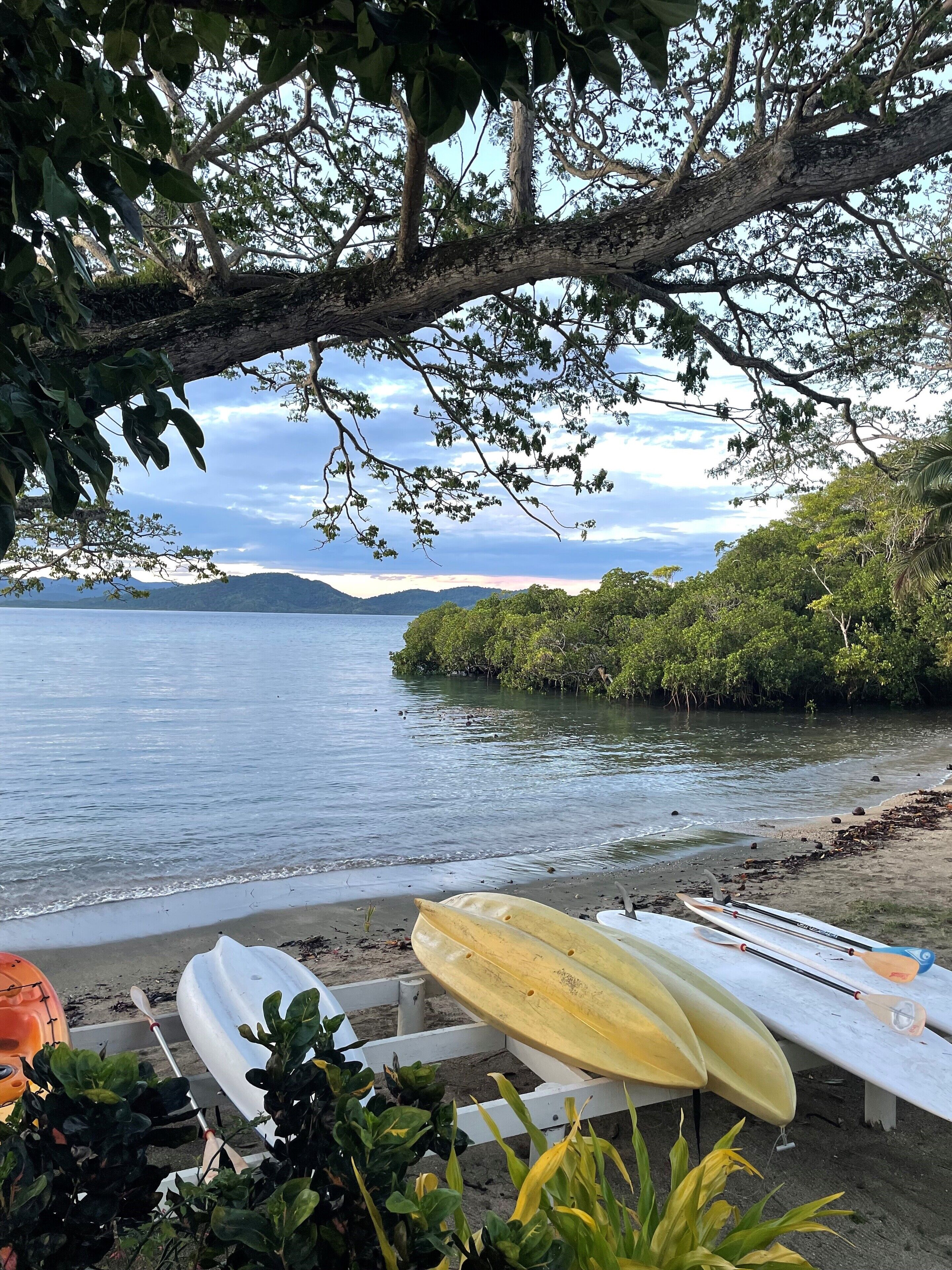 A beach with kayaks and paddleboards, a calm sea, and a tree-lined shoreline.