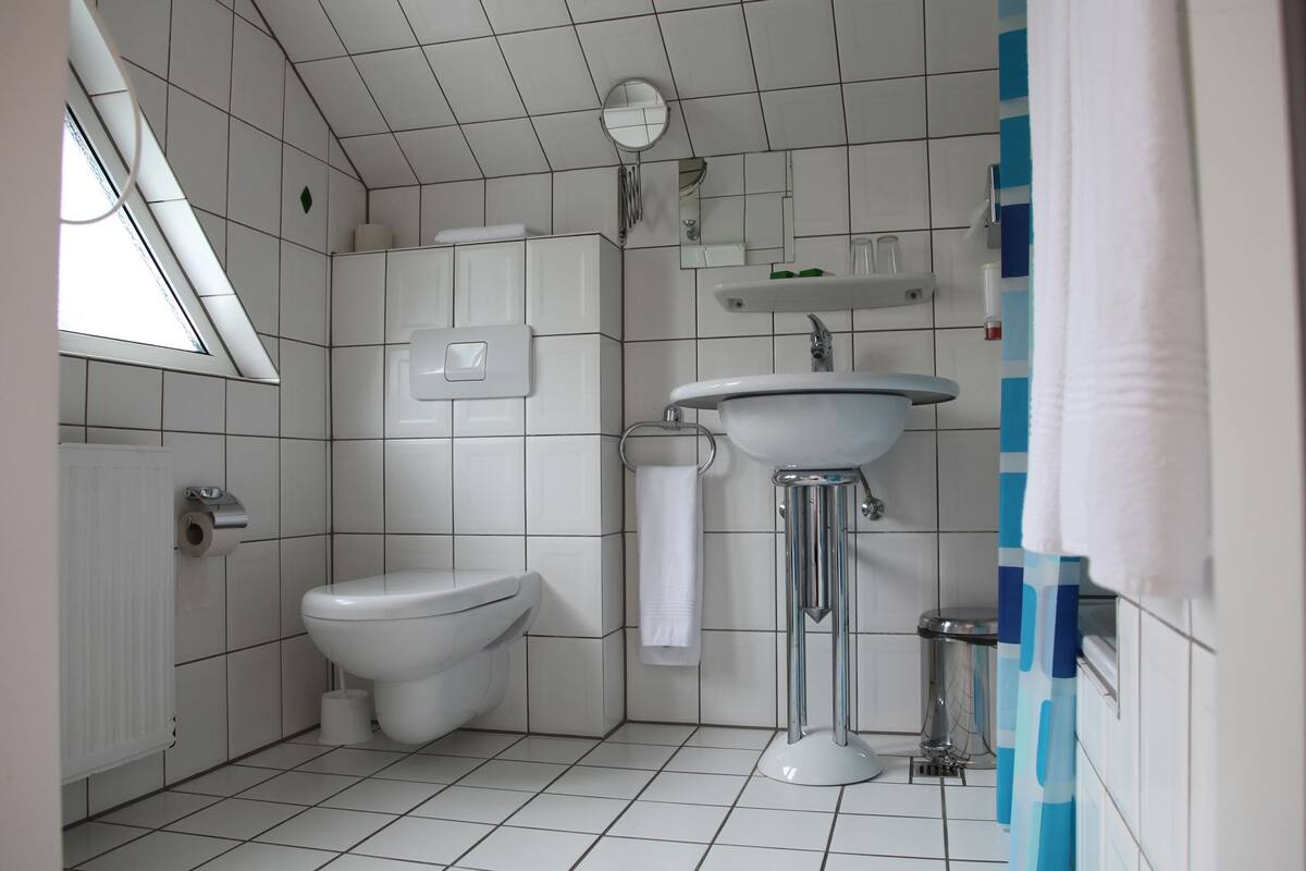 double room | bathroom shower