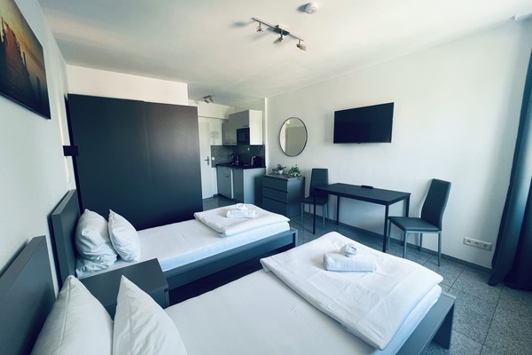 Standard Apartment, 2 Twin Beds | Desk, iron/ironing board, rollaway beds, free WiFi
