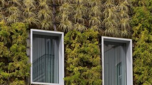 A building with three windows, each with a curtain. The building is covered with dense green foliage. - BessaHotel Liberdade (Lisbon)