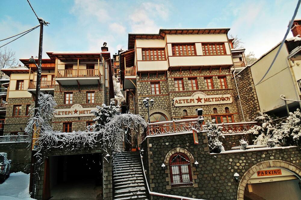 Asteri Metsovo