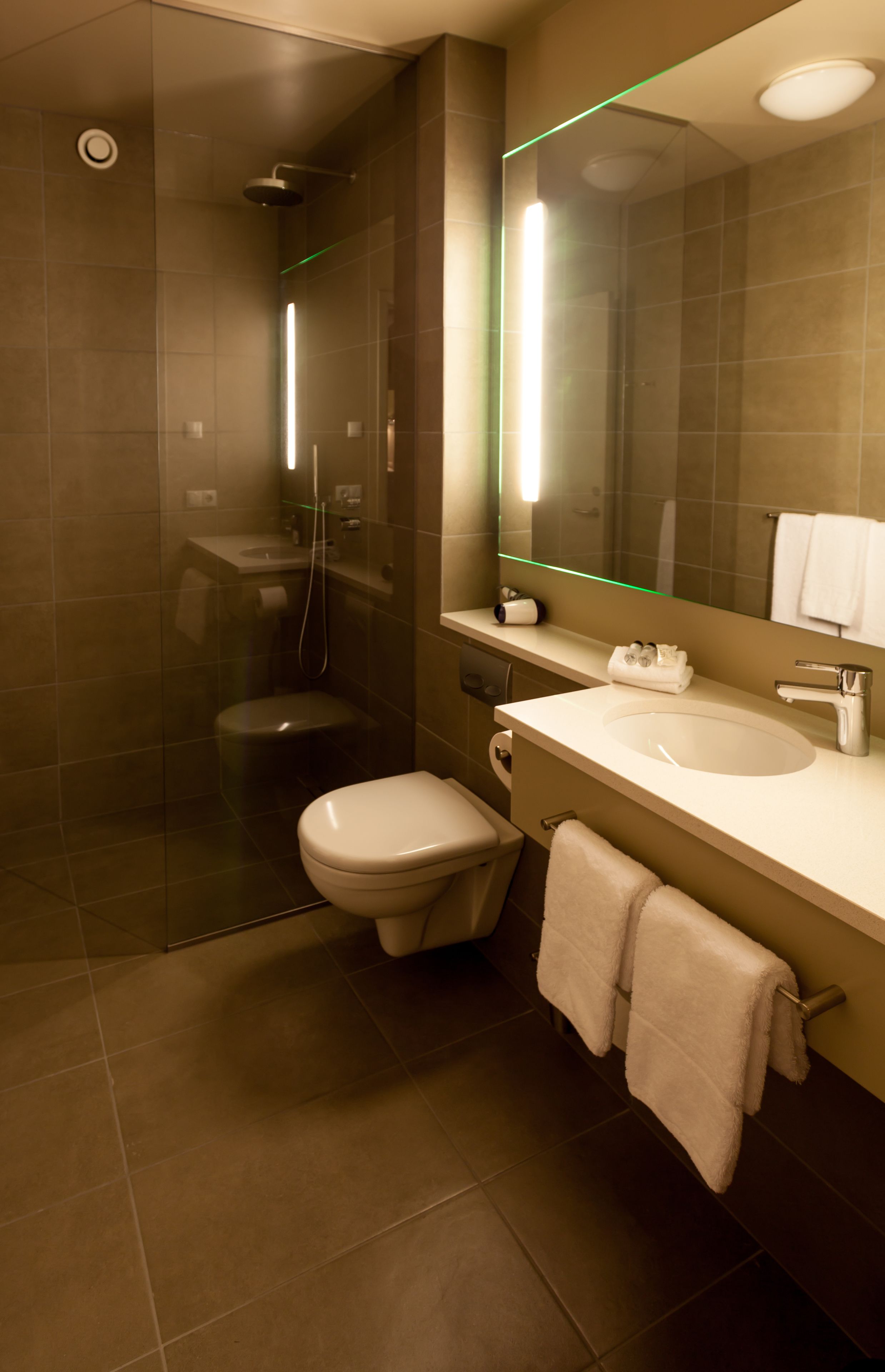standard double or twin room with spa access | bathroom | shower, hair dryer, towels