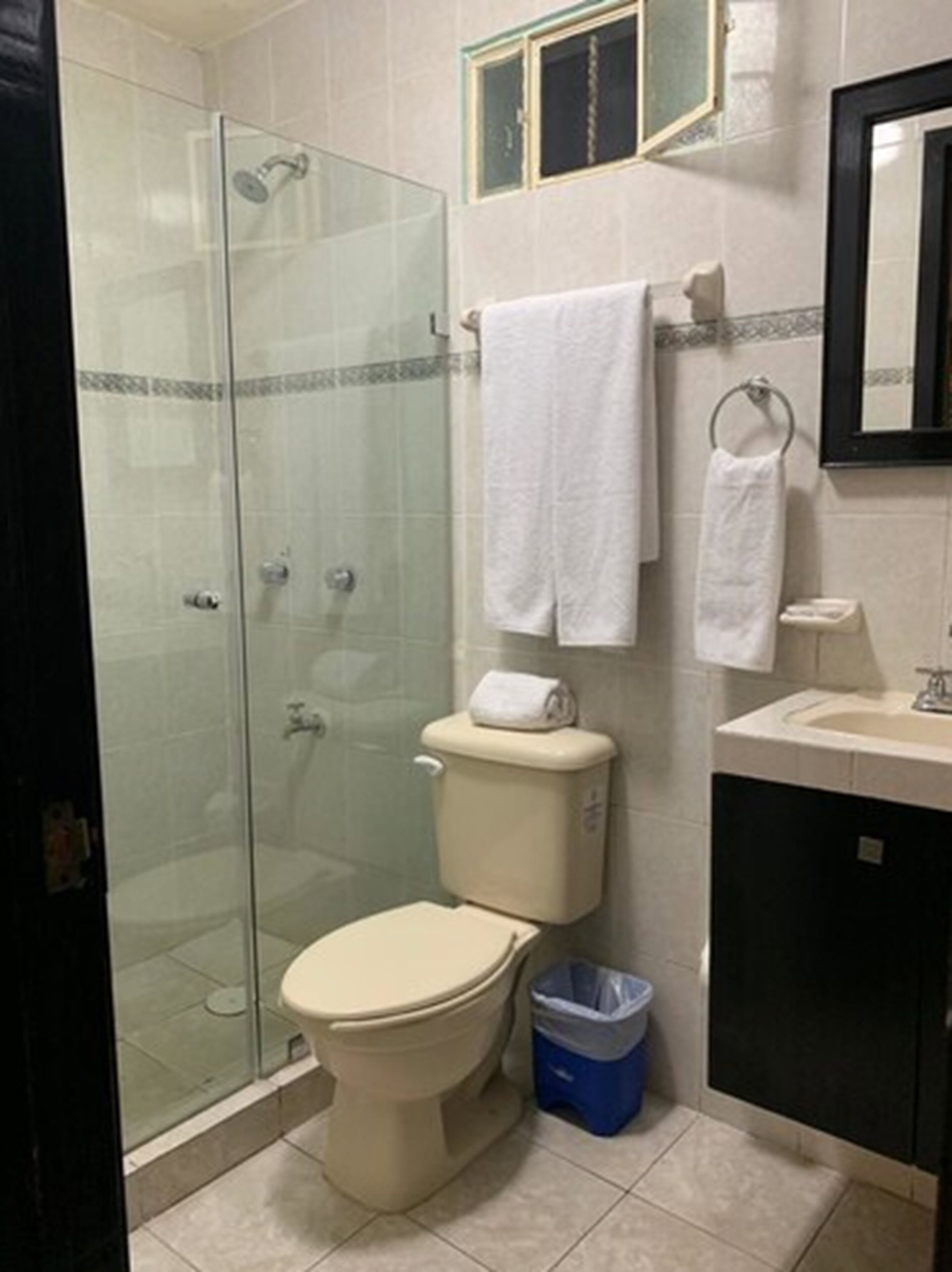 shower, free toiletries, hair dryer, towels