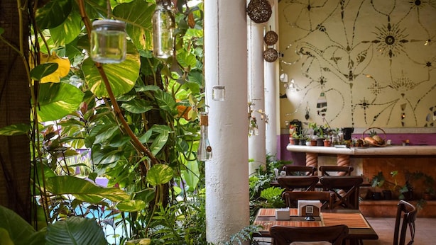 An indoor dining area with tables, chairs, hanging light fixtures, and potted plants. - Hotel Santa Ana (Mérida)
