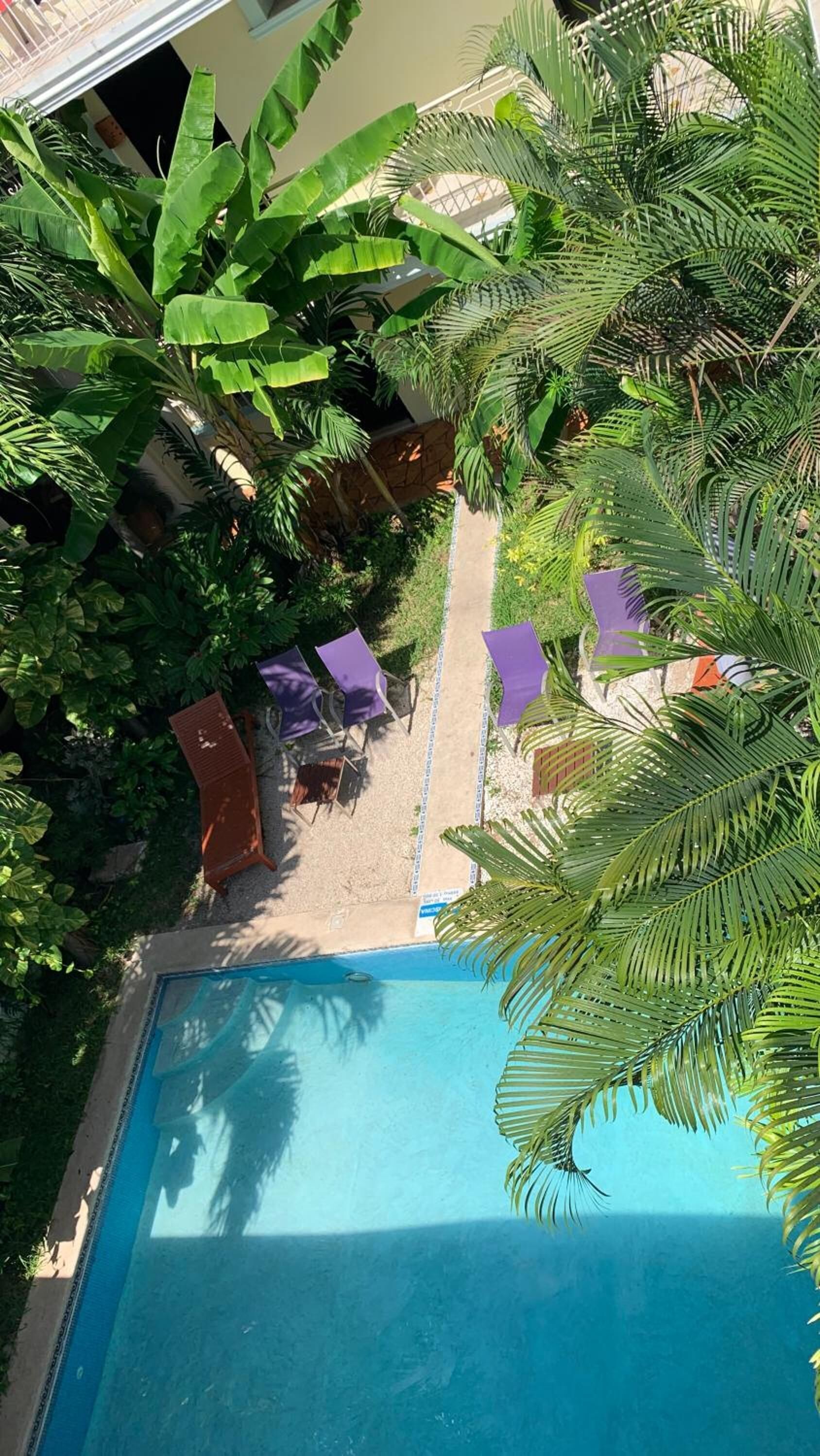 outdoor pool, pool loungers