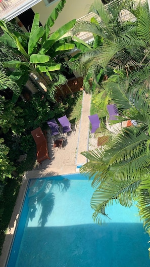 Un espace piscine offrant une vue dégagée sur le bassin, entouré d’une végétation luxuriante et agrémenté de quelques parasols violets.