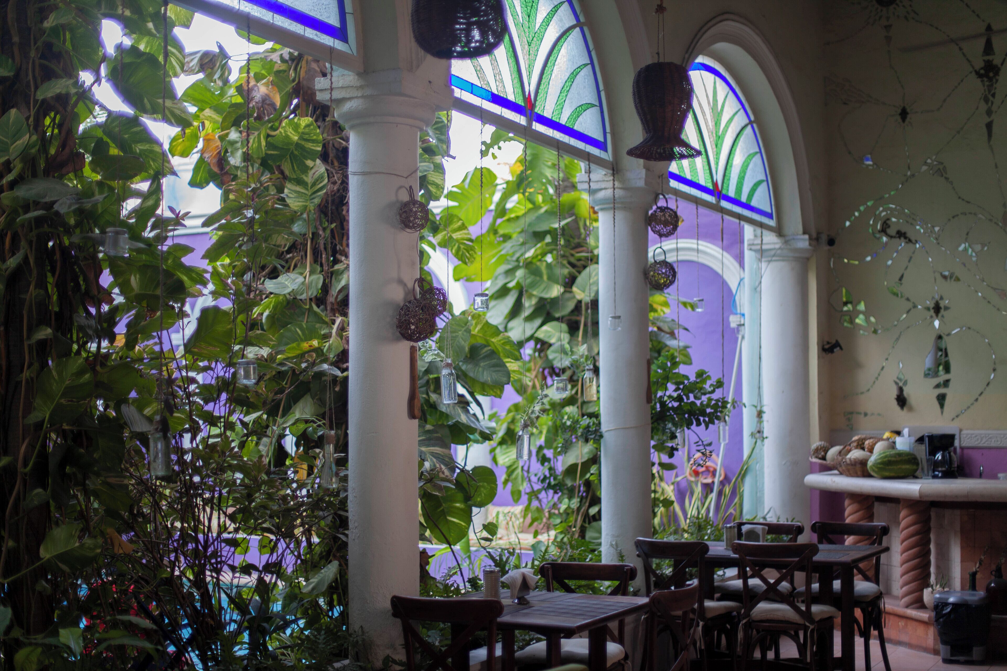 international cuisine