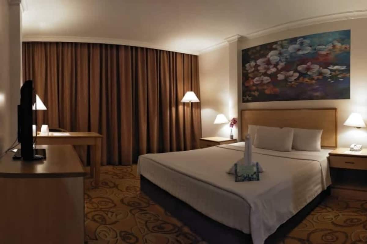Habitación doble Deluxe | Escritorio, tabla de planchar con plancha y wifi gratis