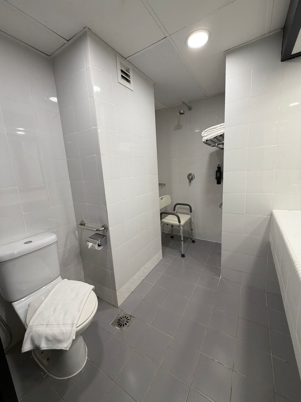 A modern bathroom with a toilet, a shower, and a handrail.