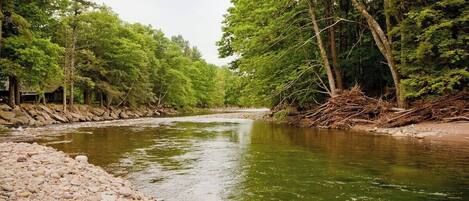 Un río de aguas cristalinas, rodeado de árboles y una orilla rocosa.