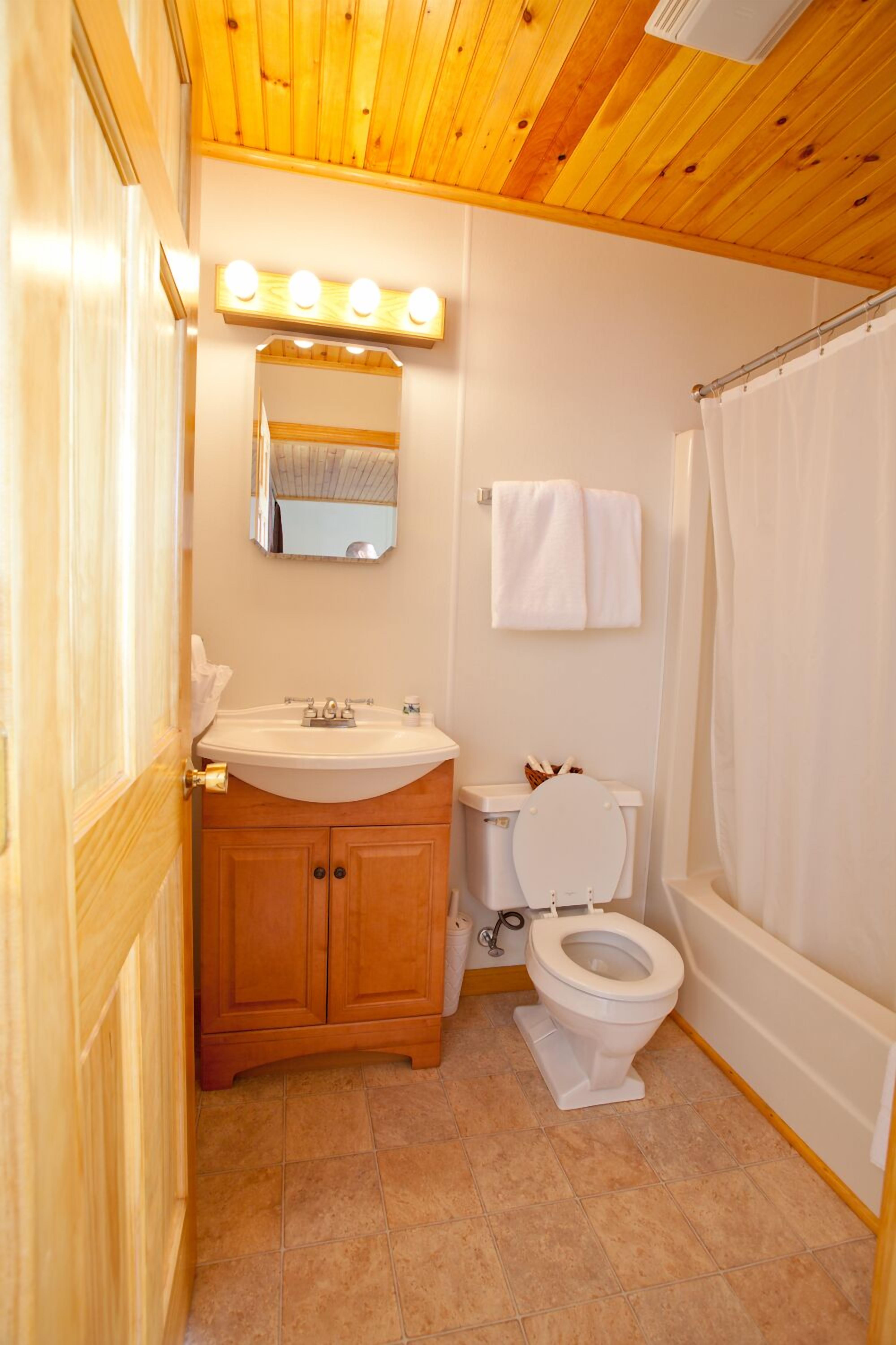 standard room, 2 queen beds | bathroom | free toiletries