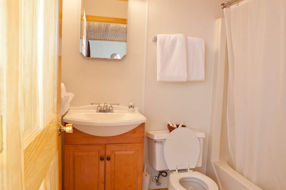 standard room, 2 queen beds | bathroom | free toiletries