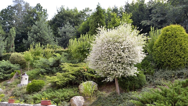 A landscaped garden with various shrubs and a small stone structure. - Penzion Jasmín (Liberec)