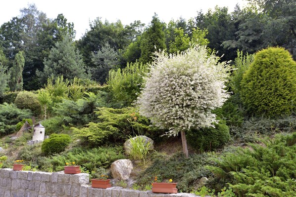 冰箱、微波炉、炉灶、洗碗机