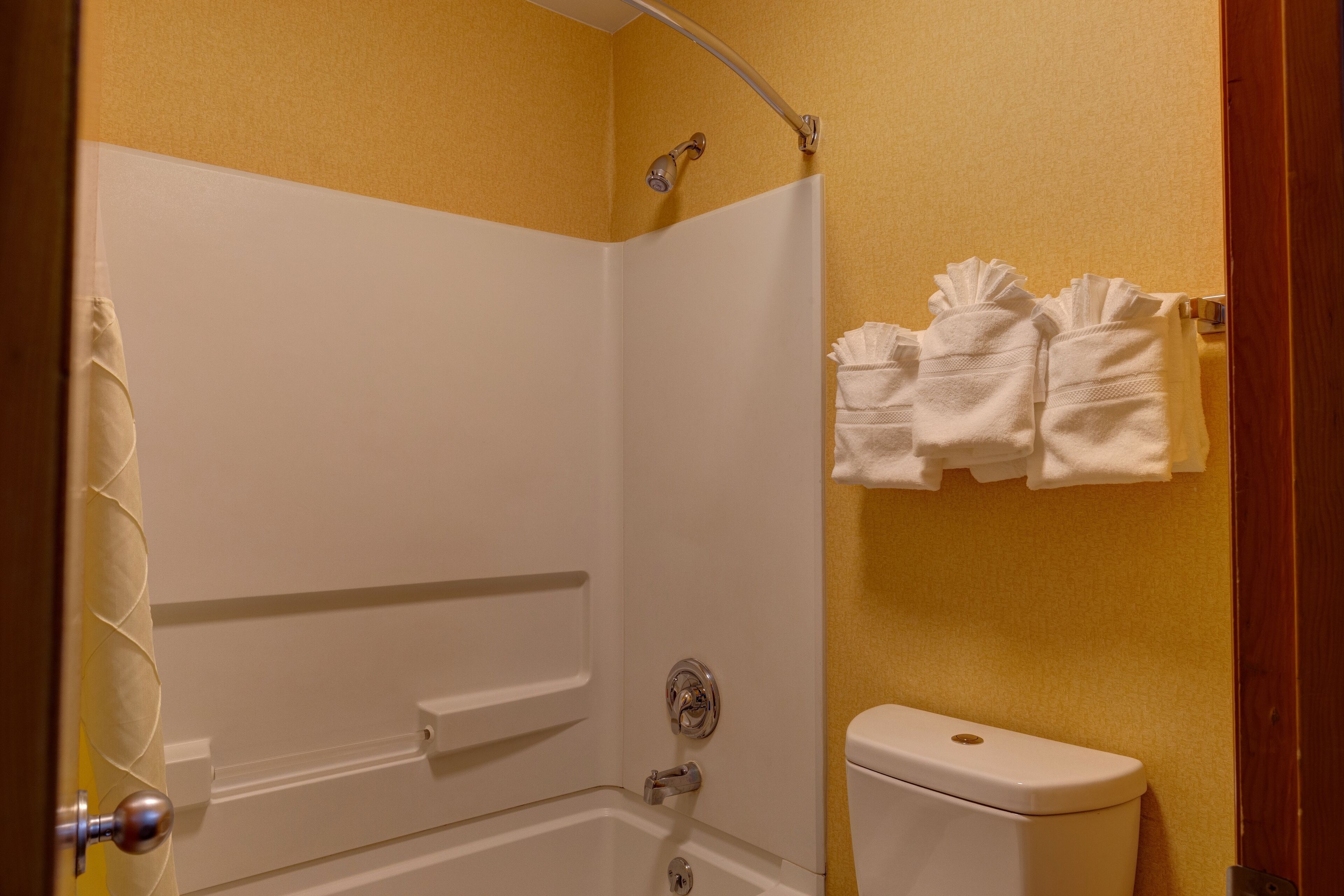A bathroom with a shower, toilet, and towel rack.