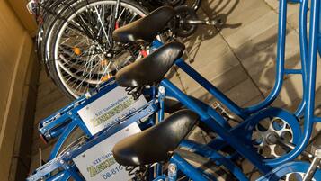 Una fila de bicicletas azules con etiquetas de alquiler, indicando un servicio de bicicletas compartidas.