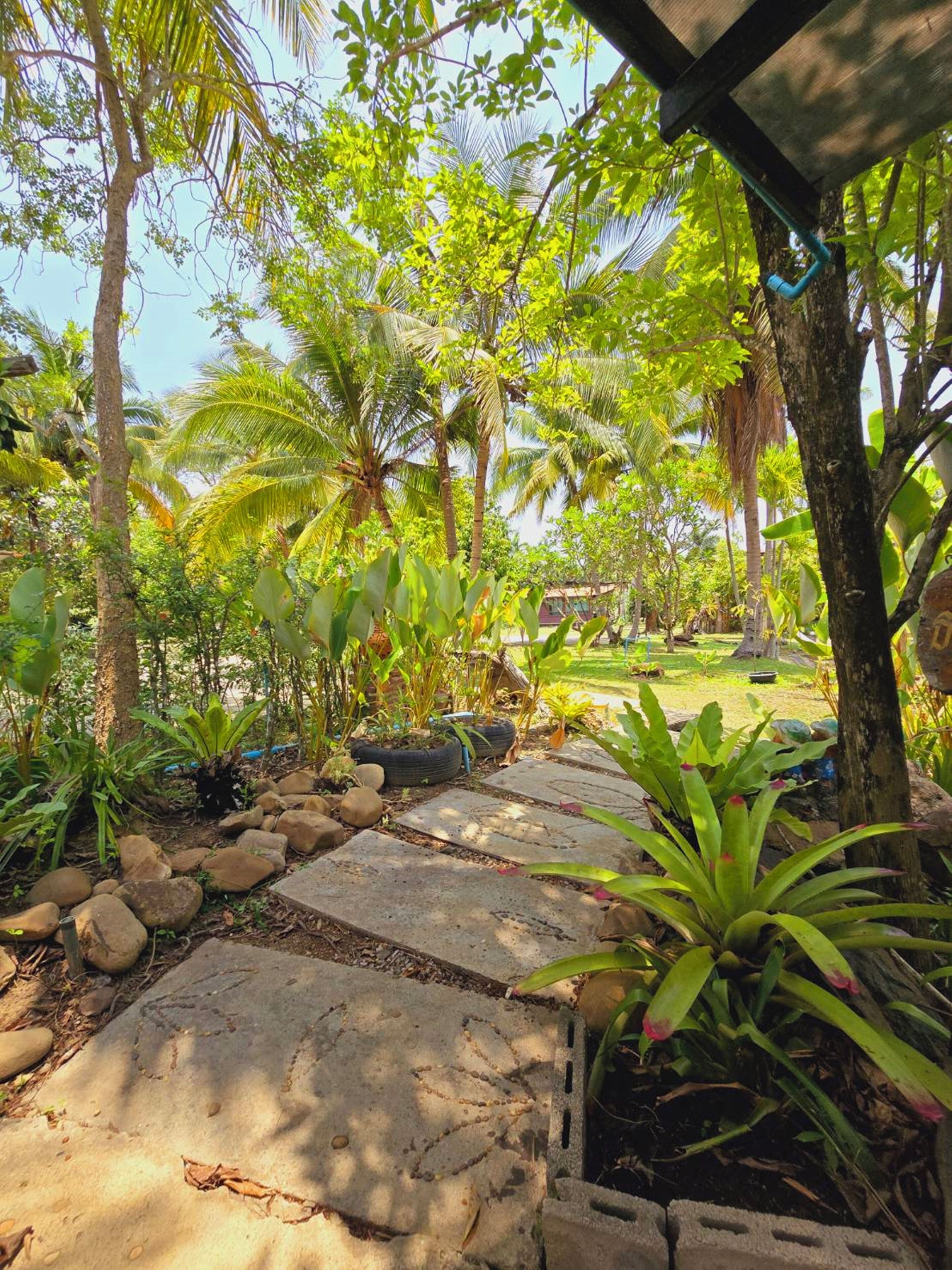 honeymoon suite, garden view | view from room
