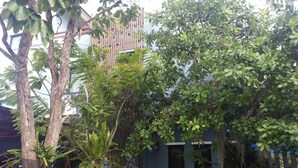 Un edificio de fachada moderna, rodeado de exuberante vegetación y árboles.