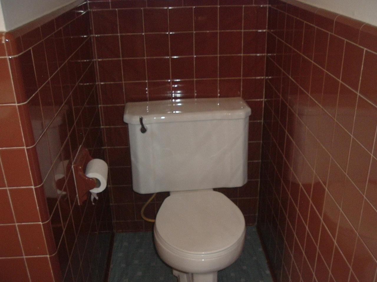 A small bathroom with a toilet, a roll of toilet paper, and a tiled floor.