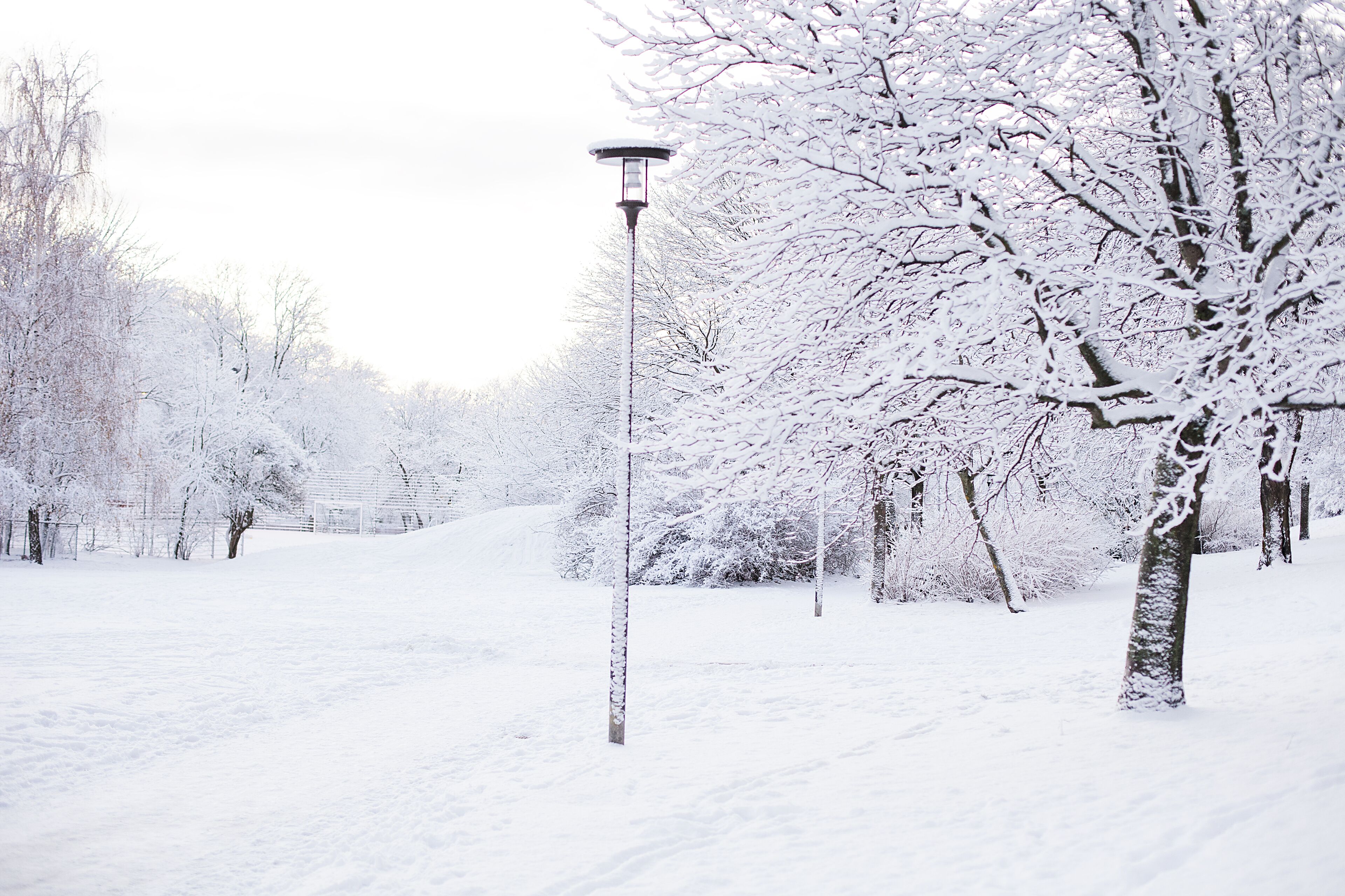 Foto - STF Zinkensdamm Hostel