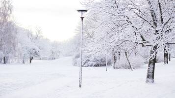A snow-covered park with a street lamp and bare trees.