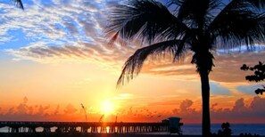 A sunset over a beach with a pier and a palm tree.