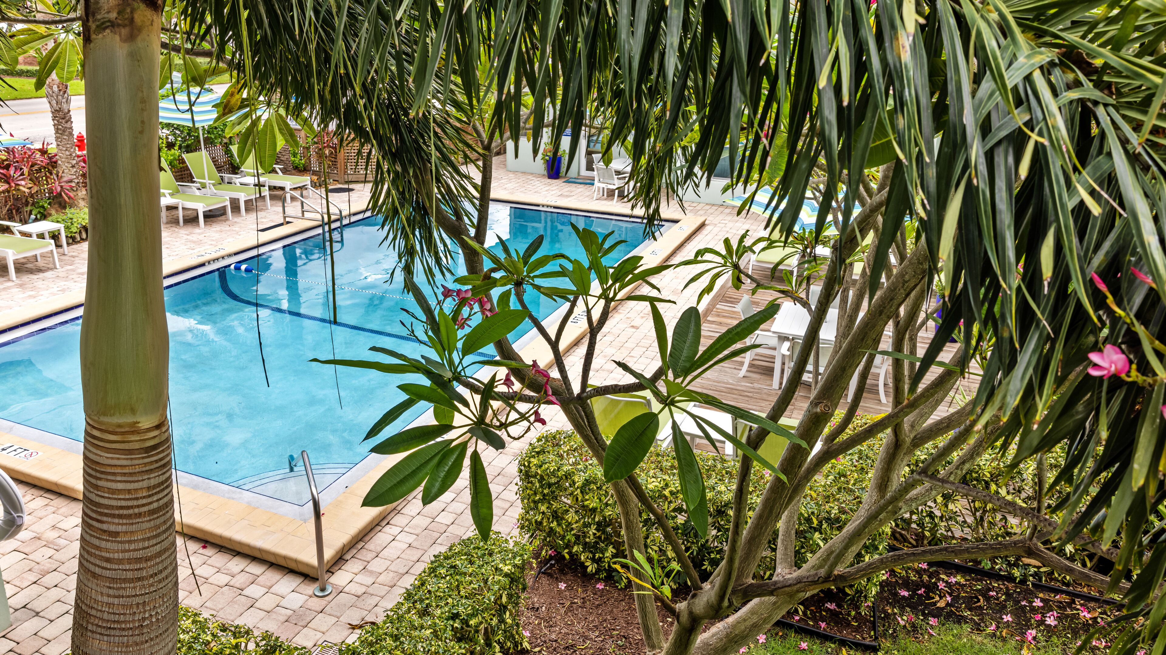 outdoor pool, pool umbrellas, pool loungers